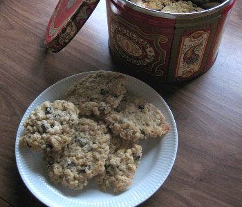 HAVRE-ROSIN-COOKIES (oatmeal-raisin-cookies)